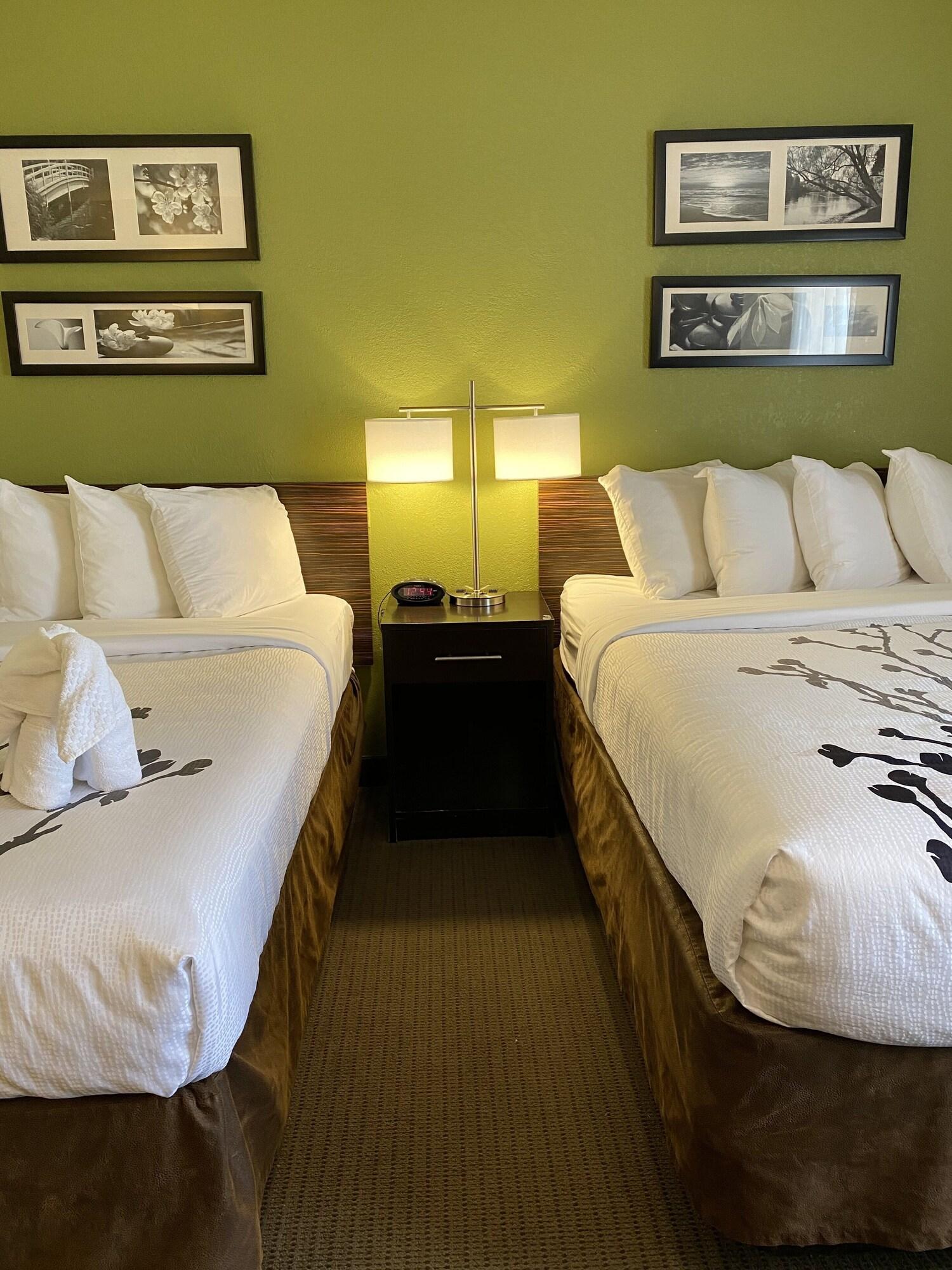 גראנד רפידס Sleep Inn & Suites מראה חיצוני תמונה