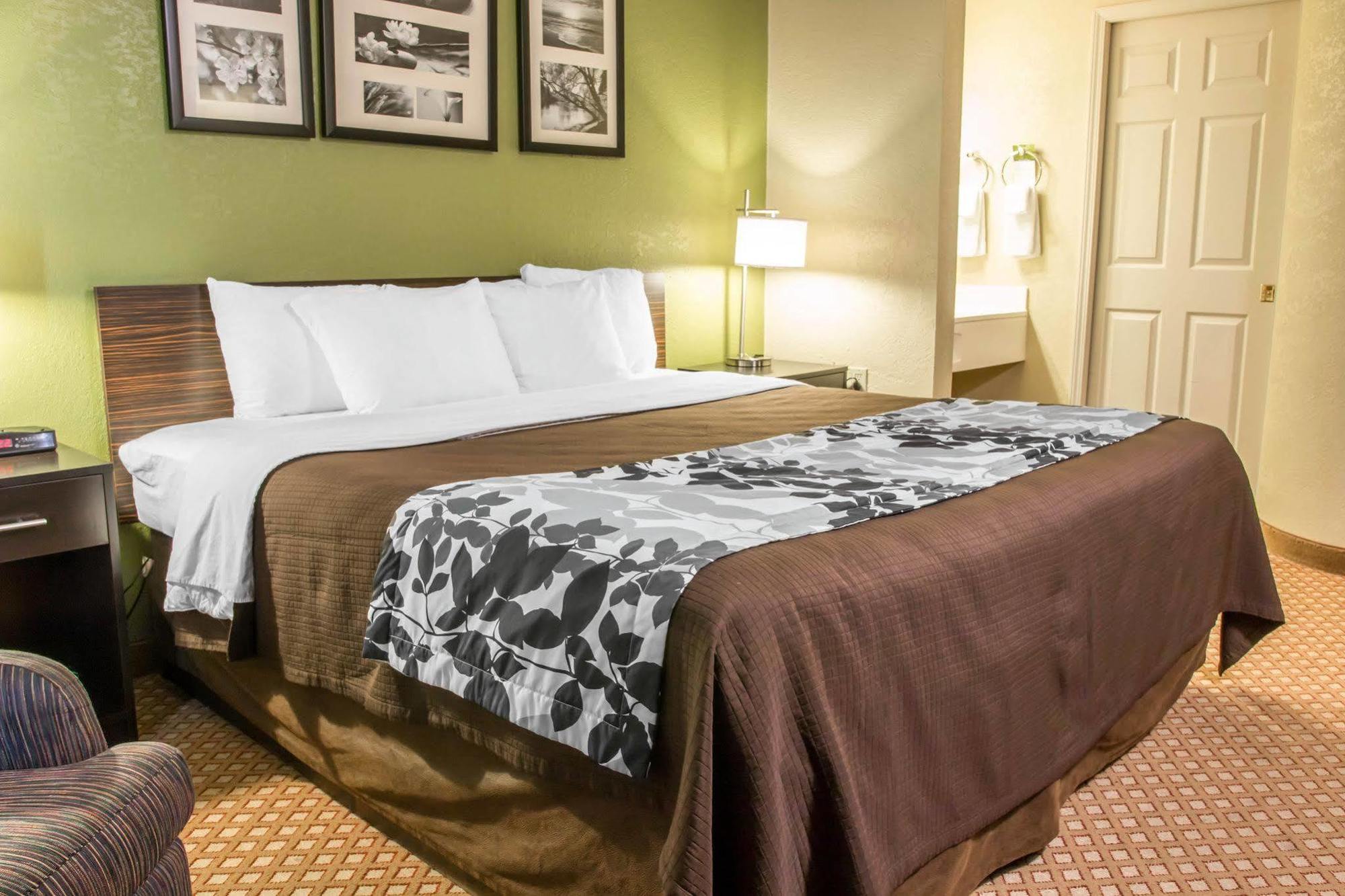 גראנד רפידס Sleep Inn & Suites מראה חיצוני תמונה